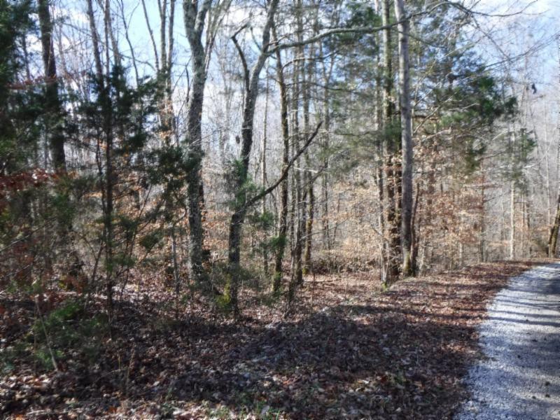 17.98 Pin Hook Road Sparta, TN 38583 - Photo 5 of 33 02262018 129