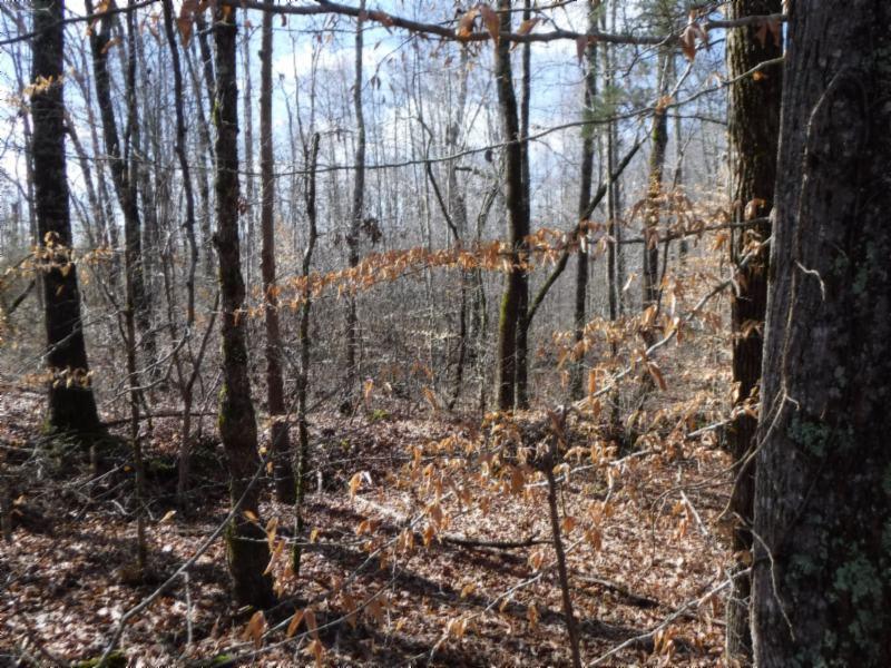 17.98 Pin Hook Road Sparta, TN 38583 - Photo 7 of 33 02262018 131