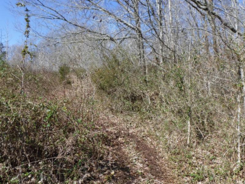 17.98 Pin Hook Road Sparta, TN 38583 - Photo 8 of 33 02262018 132