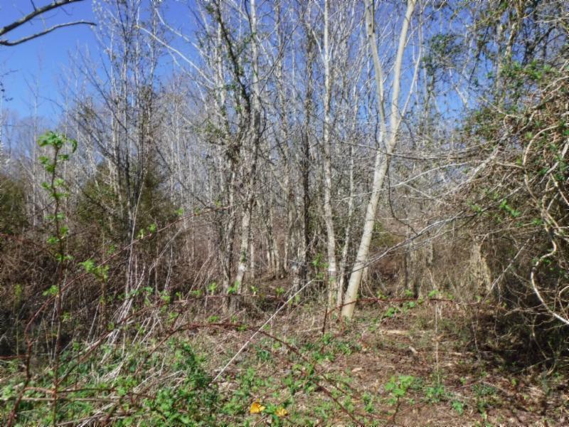 17.98 Pin Hook Road Sparta, TN 38583 - Photo 10 of 33 02262018 134