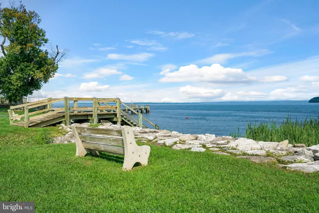 a view of a garden with lawn chairs