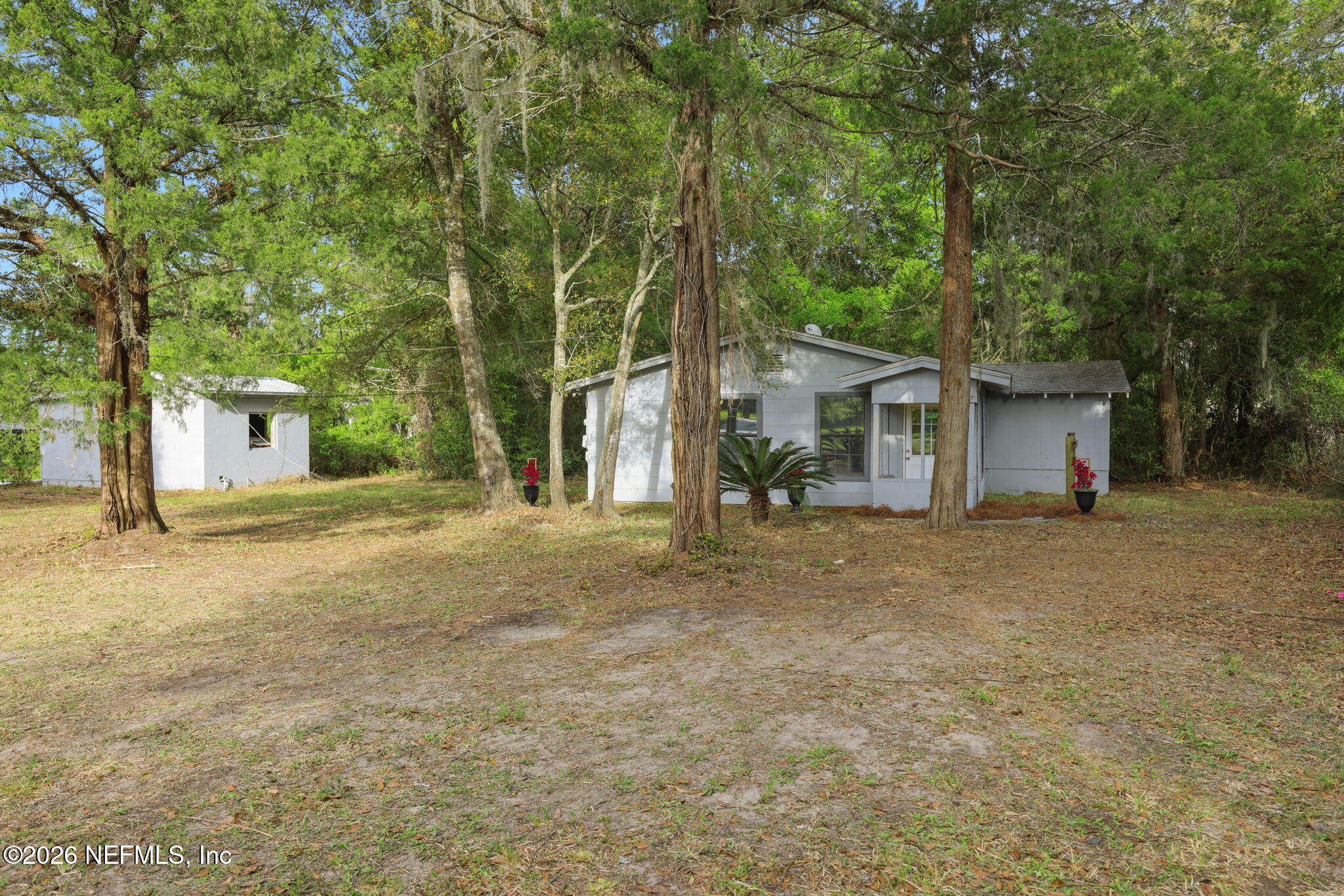 1133 Girvin Road Jacksonville, FL 32225 - Photo 36 of 69 a view of a house with backyard and a tree