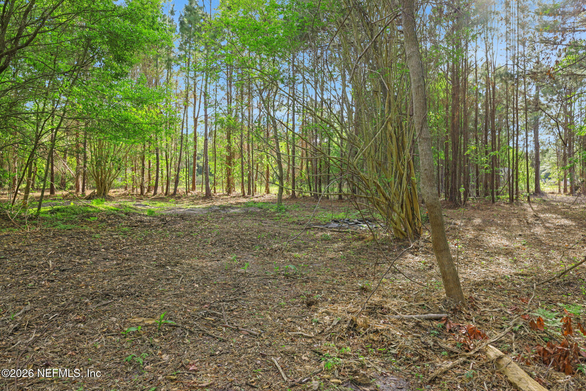 1133 Girvin Road Jacksonville, FL 32225 - Photo 38 of 69 21-web-or-mls-2Z2A4932