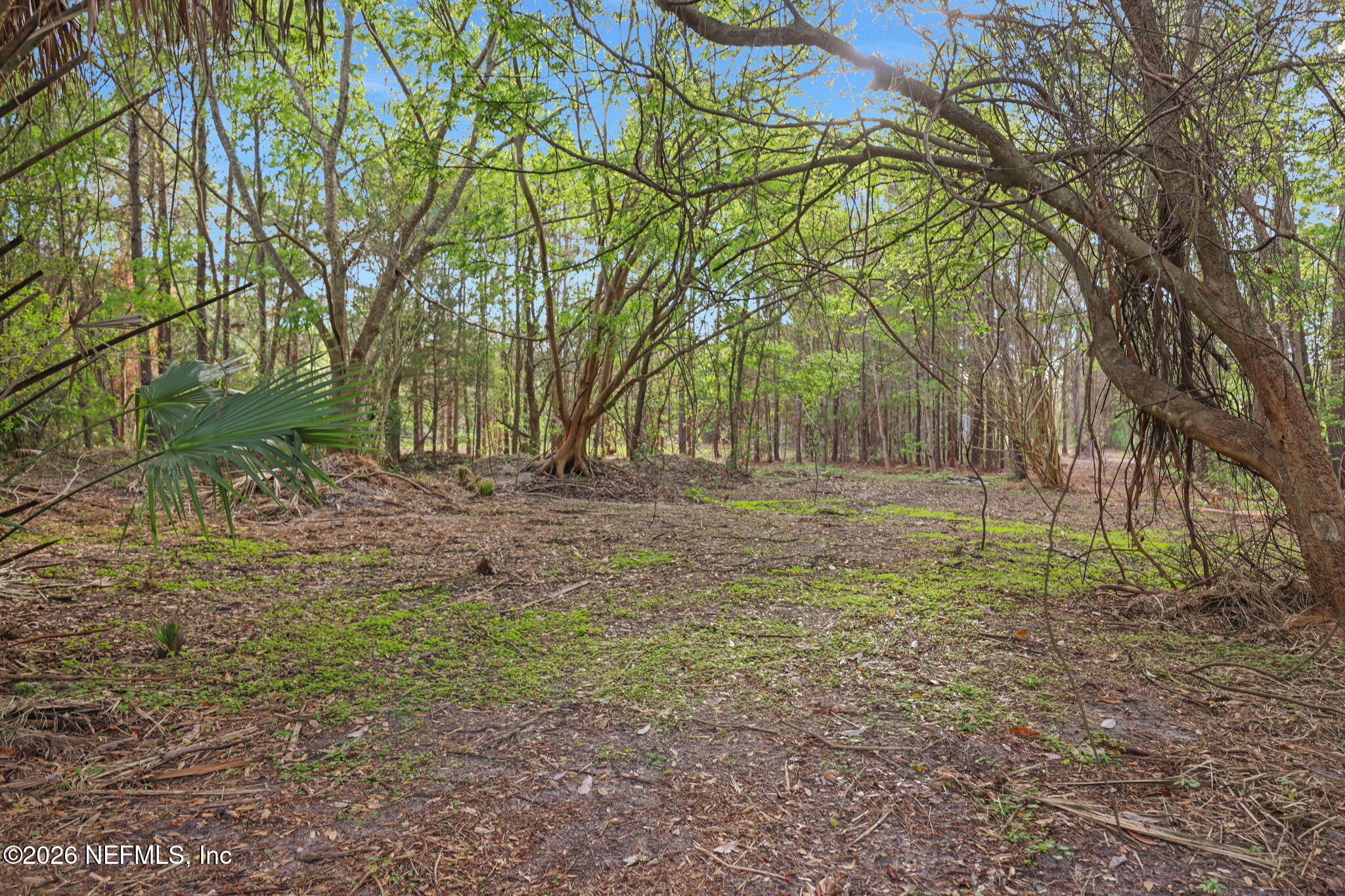 1133 Girvin Road Jacksonville, FL 32225 - Photo 39 of 69 a view of outdoor space with trees