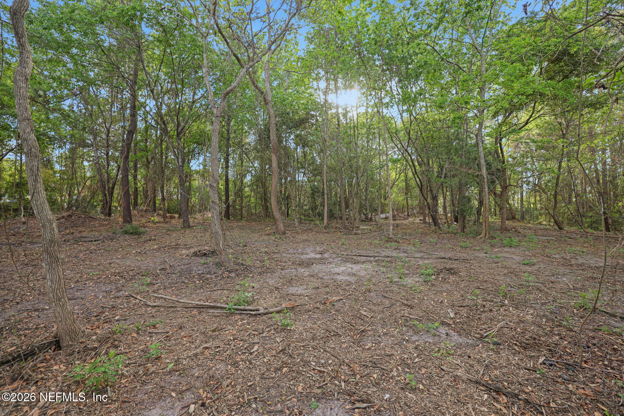 1133 Girvin Road Jacksonville, FL 32225 - Photo 40 of 69 a view of outdoor space with trees