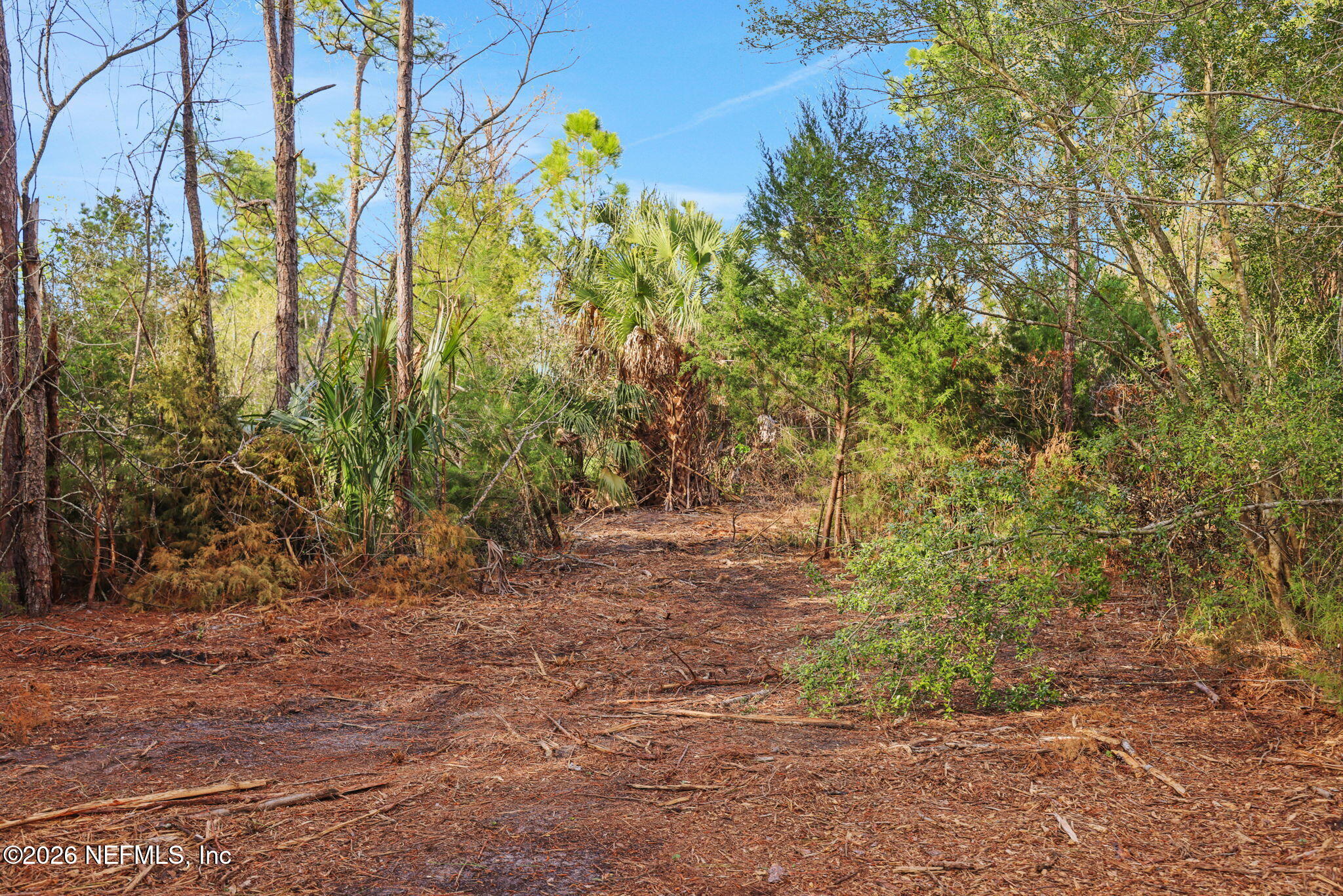 1133 Girvin Road Jacksonville, FL 32225 - Photo 42 of 69 26-web-or-mls-2Z2A4927