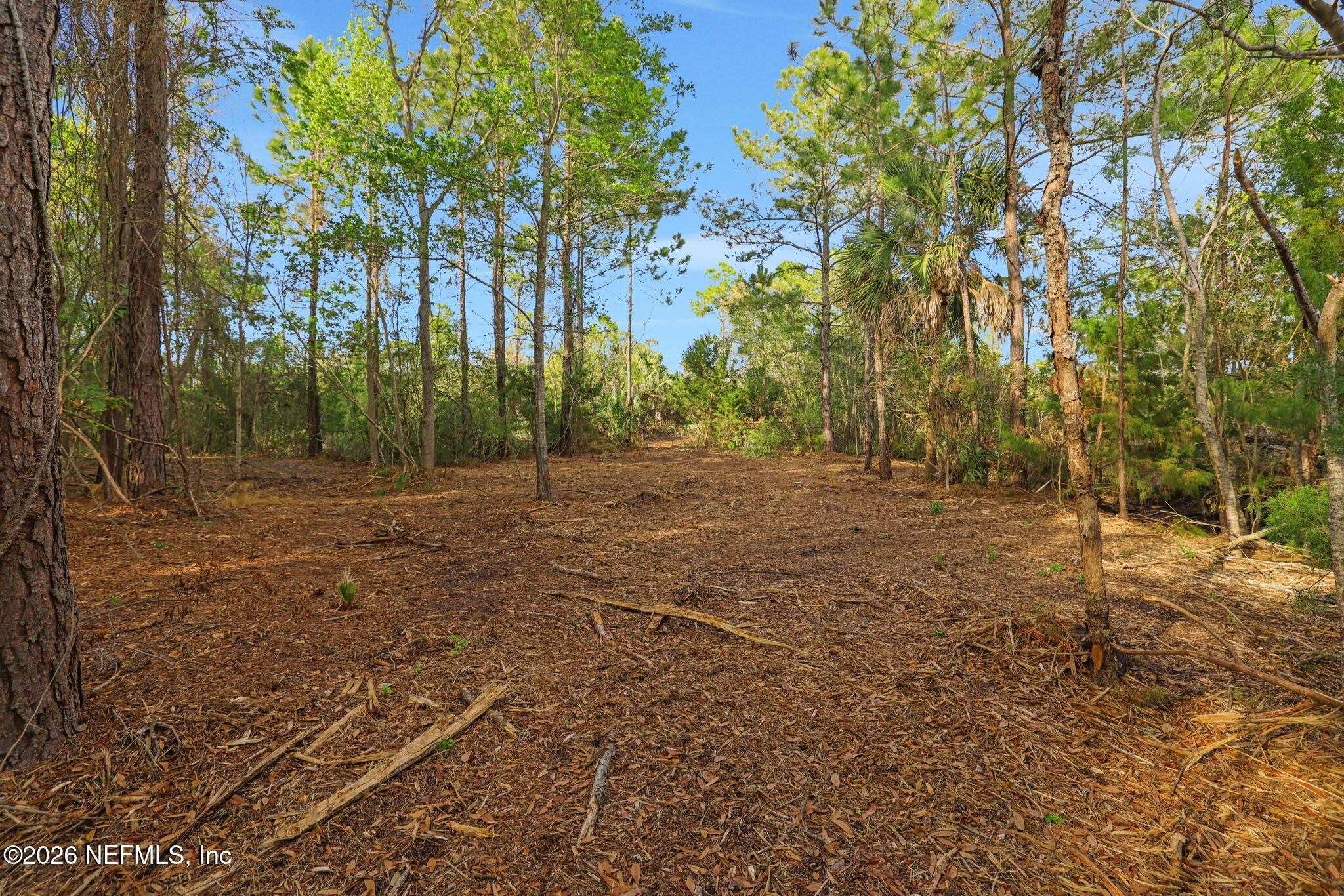 1133 Girvin Road Jacksonville, FL 32225 - Photo 43 of 69 27-web-or-mls-2Z2A4926