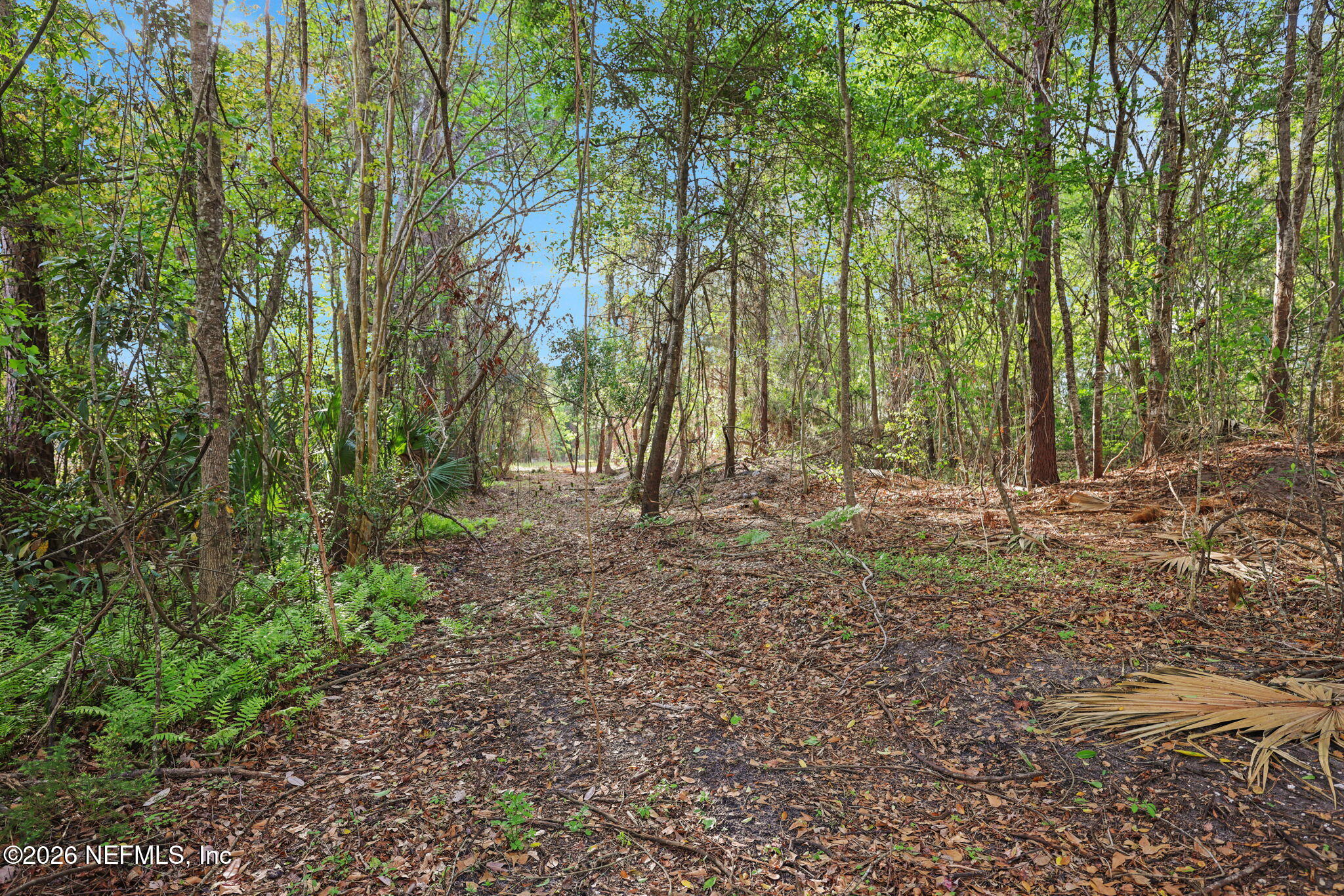 1133 Girvin Road Jacksonville, FL 32225 - Photo 44 of 69 28-web-or-mls-2Z2A4925