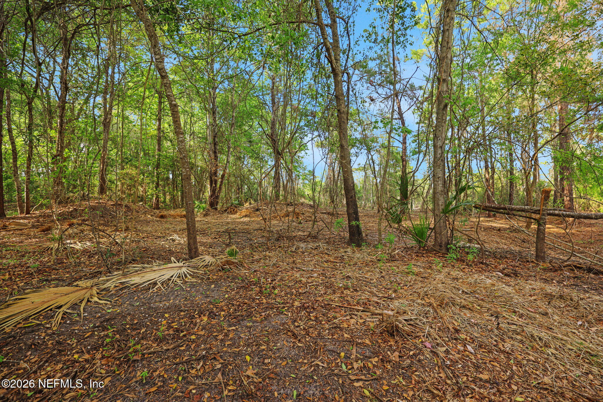 1133 Girvin Road Jacksonville, FL 32225 - Photo 45 of 69 29-web-or-mls-2Z2A4924