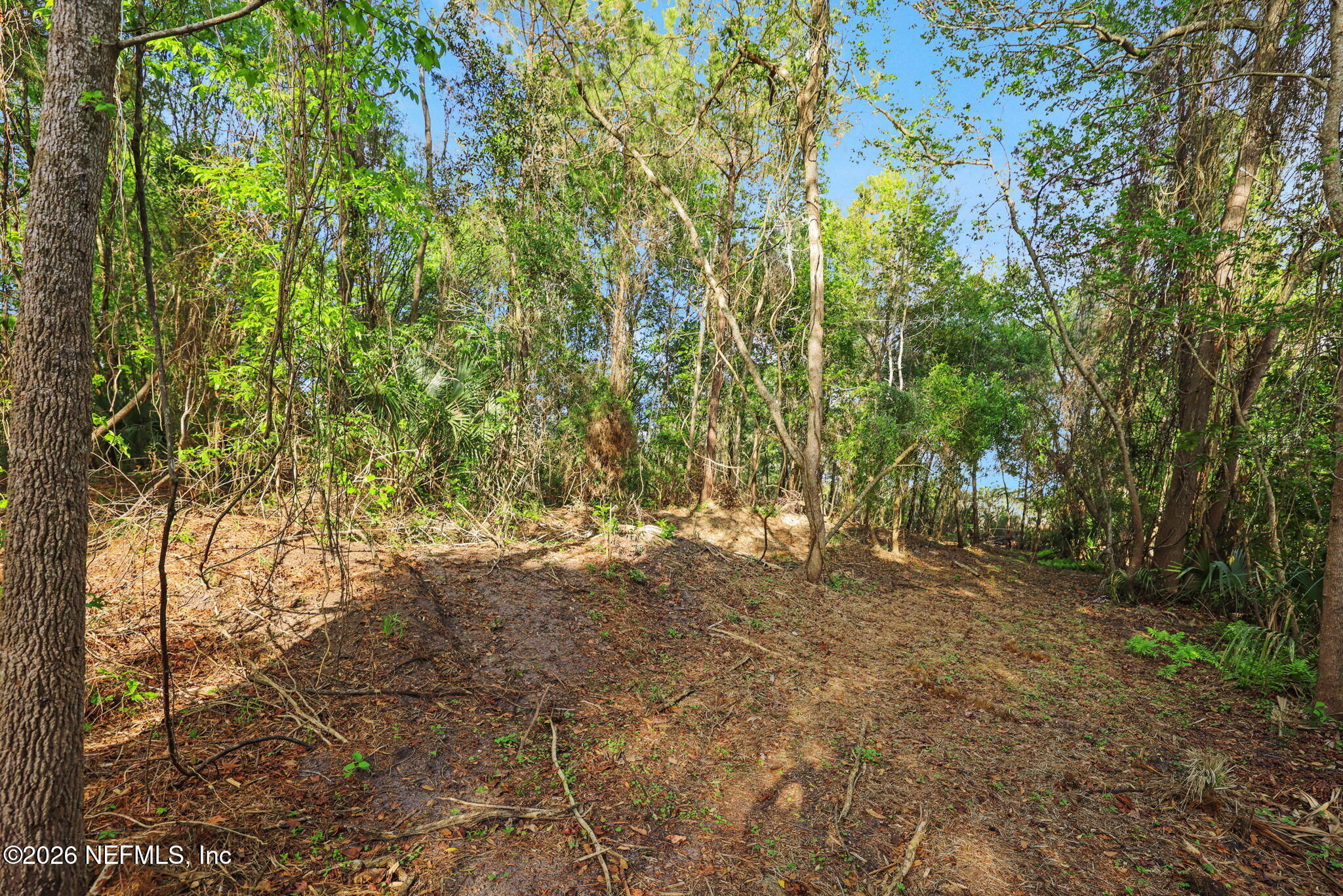 1133 Girvin Road Jacksonville, FL 32225 - Photo 46 of 69 a view of outdoor space and trees