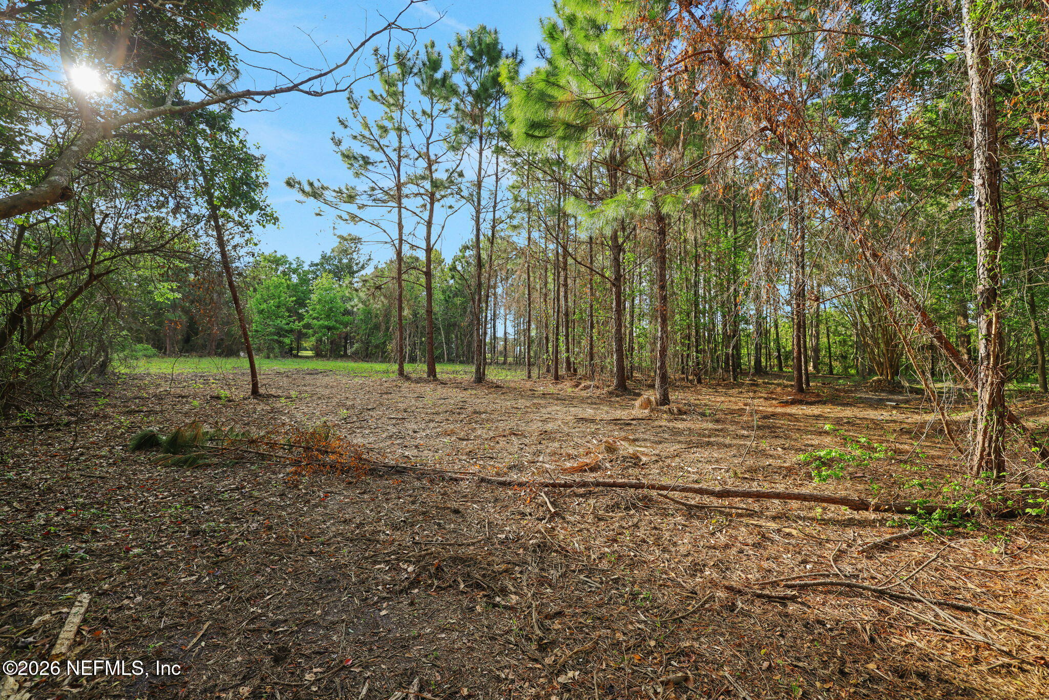 1133 Girvin Road Jacksonville, FL 32225 - Photo 47 of 69 31-web-or-mls-2Z2A4922