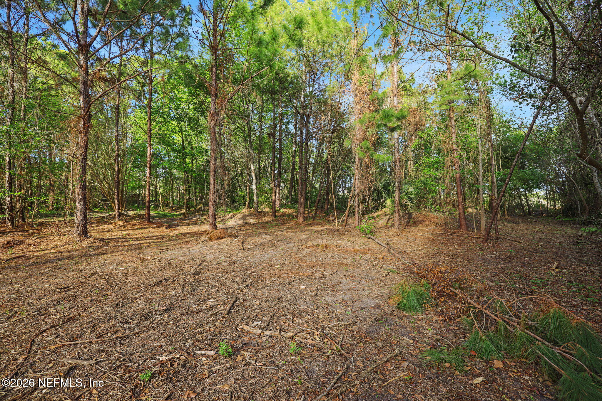 1133 Girvin Road Jacksonville, FL 32225 - Photo 48 of 69 a view of outdoor space with trees