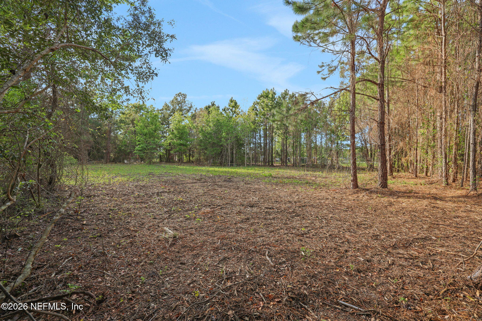 1133 Girvin Road Jacksonville, FL 32225 - Photo 49 of 69 33-web-or-mls-2Z2A4920