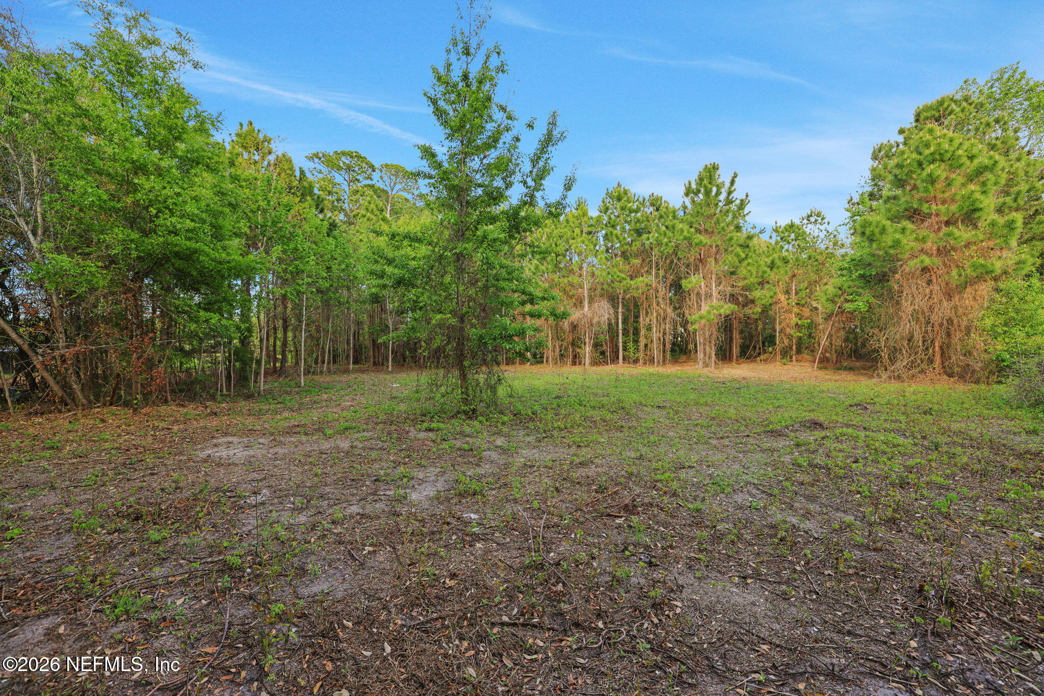 1133 Girvin Road Jacksonville, FL 32225 - Photo 50 of 69 a view of a tree in a yard