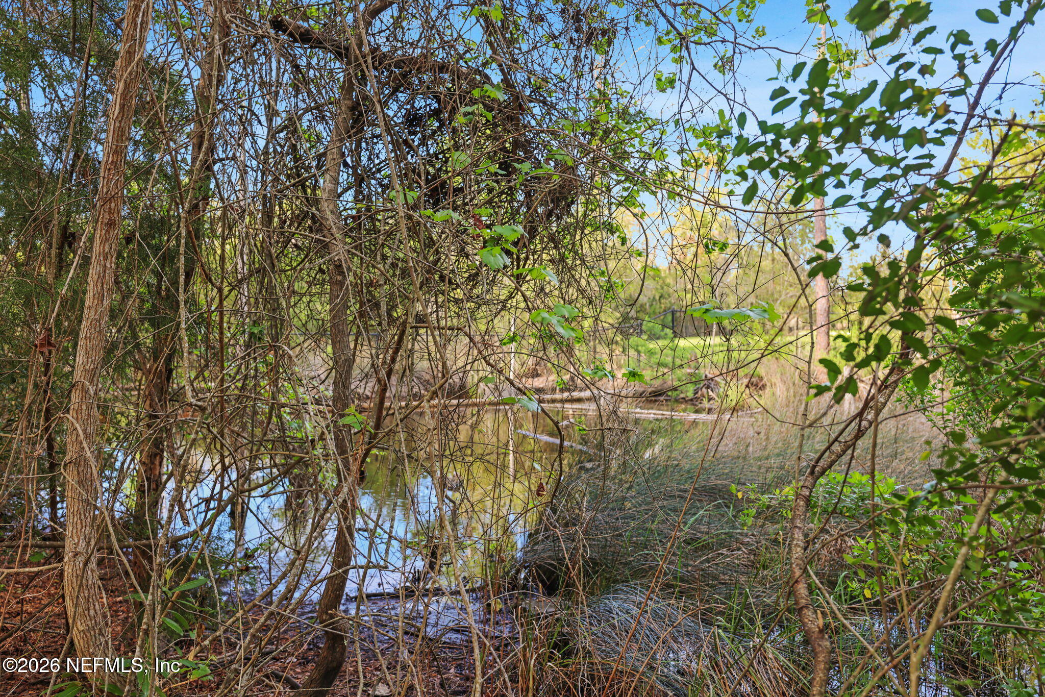 1133 Girvin Road Jacksonville, FL 32225 - Photo 51 of 69 24-web-or-mls-2Z2A4929