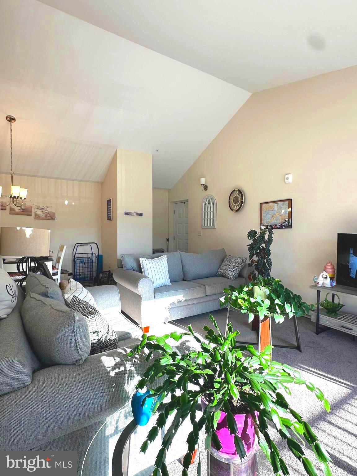 15210 Elkridge Way, Unit 913K Silver Spring, MD 20906 - Photo 8 of 47 Sun-drenched living room