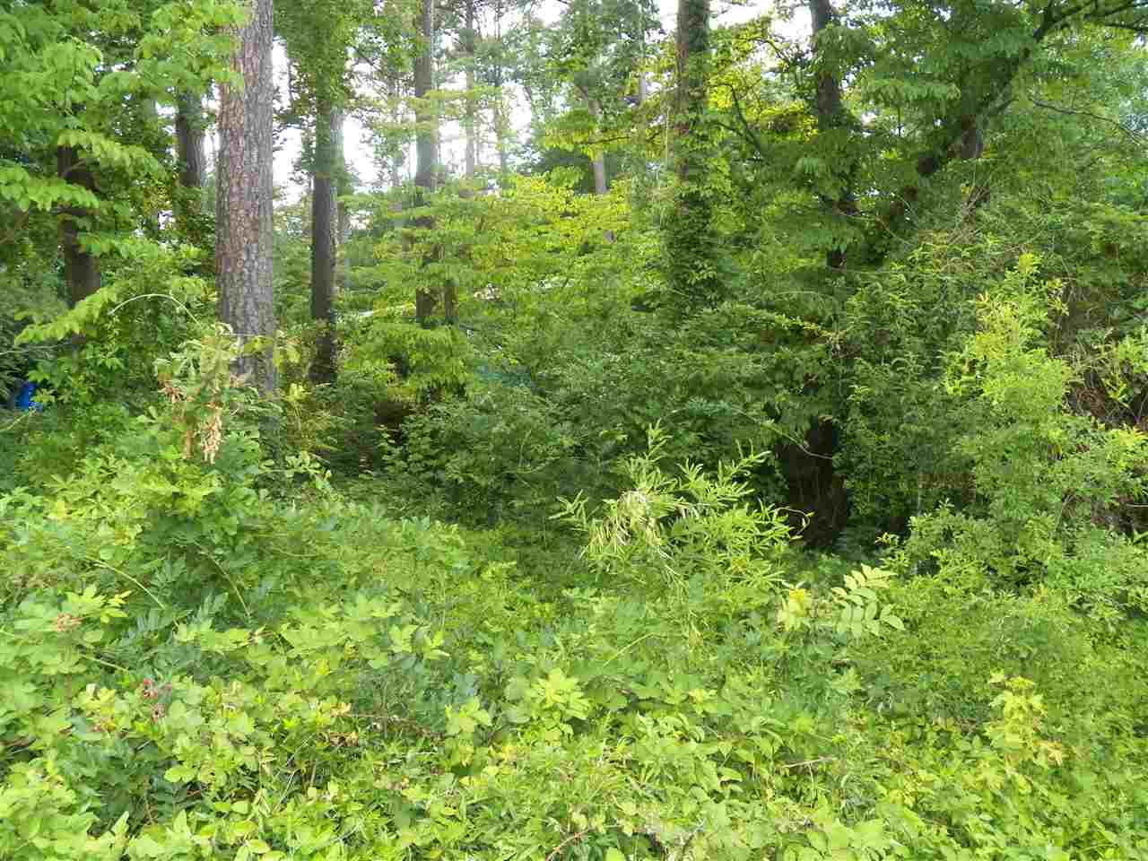 5105 Rampart Street Raleigh, NC 27609 - Photo 2 of 4 Photo 2
