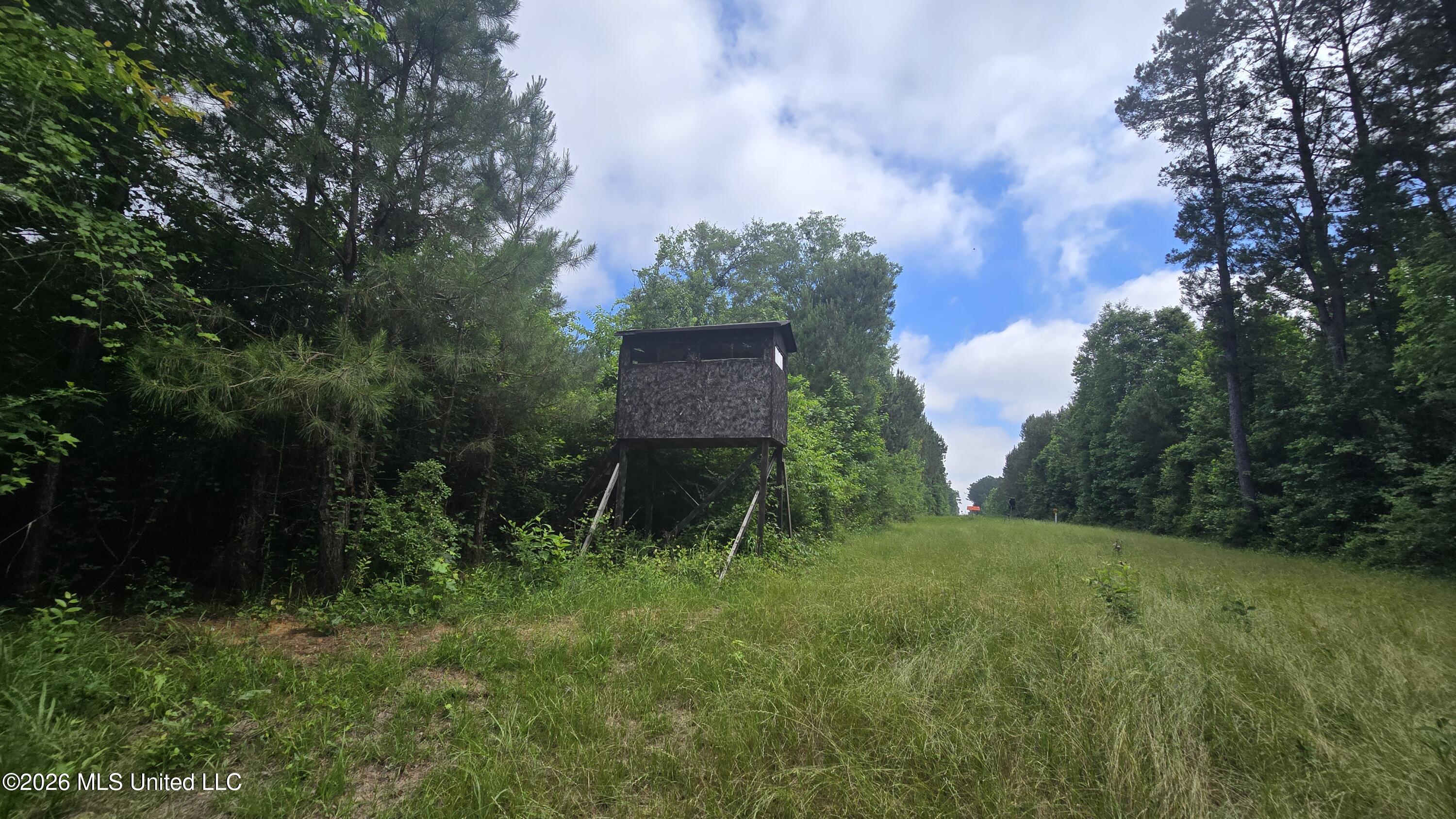 189 Co Road Bay Springs, MS 39422 - Photo 27 of 61 20260513_105239