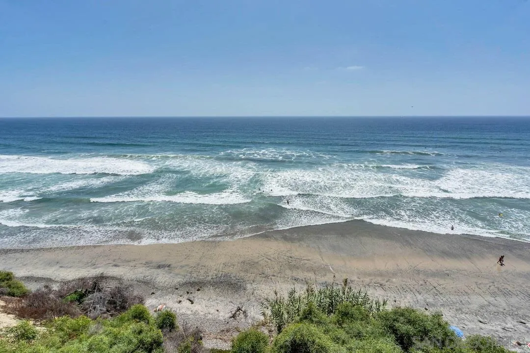 796 Neptune Avenue Encinitas, CA 92024 - Photo 49 of 49 a view of a dry yard with wooden floor