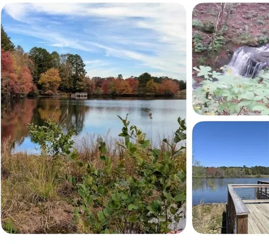 $2,195 | 4657 Waxwing Street, Hoschton, GA 30548