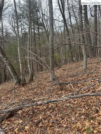 $38,000 | The Peaks Regal Drive, Laurel Springs, NC 28644