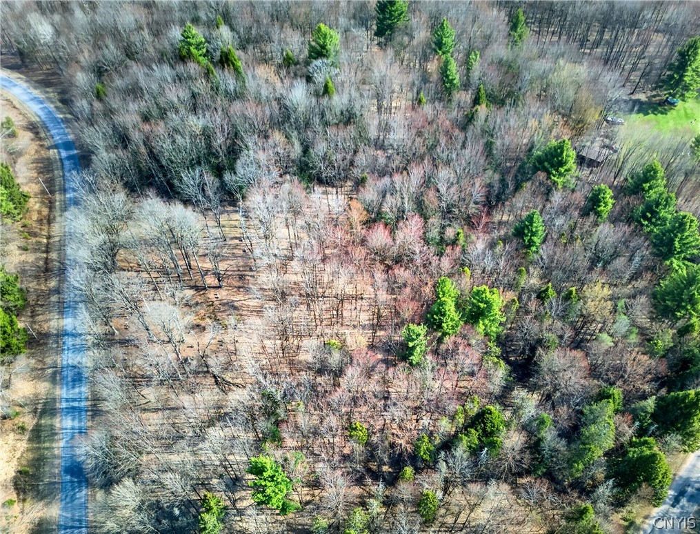 258 Voorhees Road Parish, NY 13167 - Photo 2 of 6