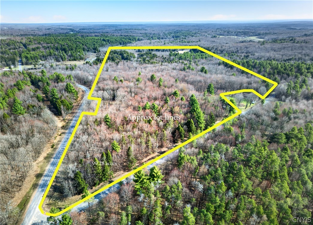 258 Voorhees Road Parish, NY 13167 - Photo 3 of 6