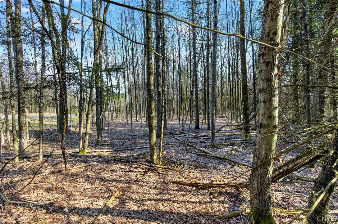 258 Voorhees Road Parish, NY 13167 - Photo 5 of 6