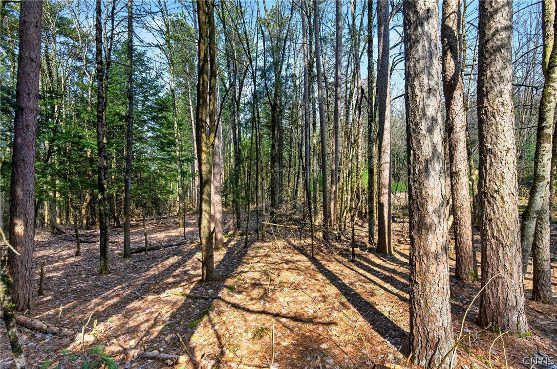 258 Voorhees Road Parish, NY 13167 - Photo 6 of 6