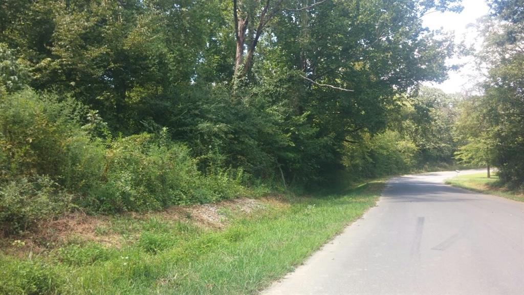 0 Barney Pierce Road Chatsworth, GA 30705 - Photo 1 of 1