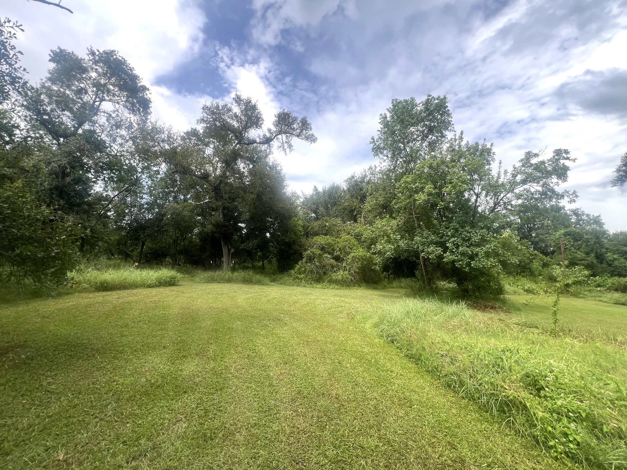 20218 Oak Forest Road Damon, TX 77430 - Photo 14 of 17 Gallery Image 14