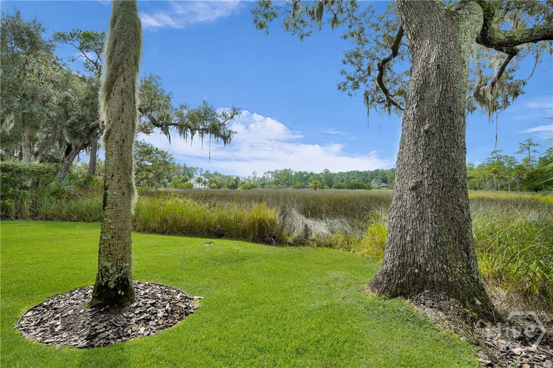 23 Sparnel Road Savannah, GA 31411 - Photo 54 of 60 Gallery Image 54