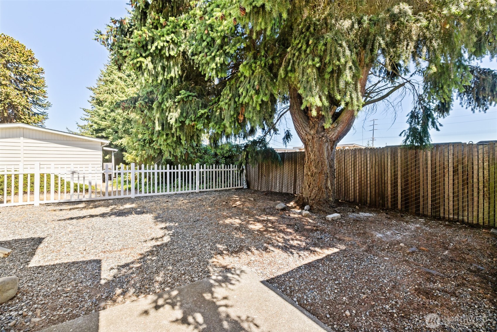 921 South 3rd Avenue, Unit 20 Sequim, WA 98382 - Photo 5 of 37 a view of a backyard with a tree