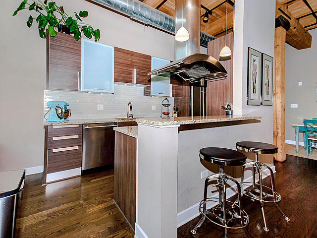 154 West Hubbard Street, Unit 203 Chicago, IL 60654 - Photo 2 of 22