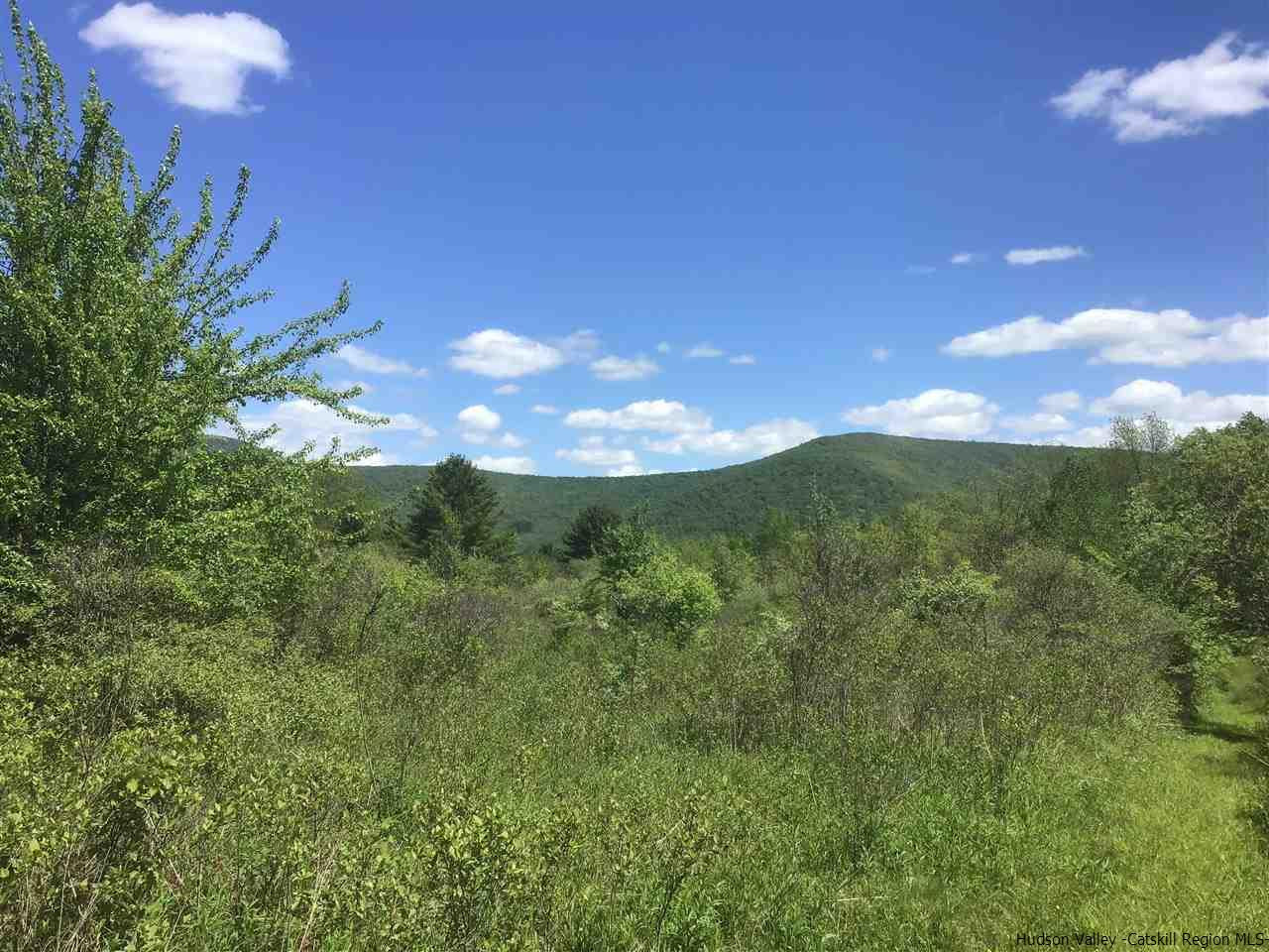 0 Scott Greene Road Roxbury, NY 12474 - Photo 12 of 15