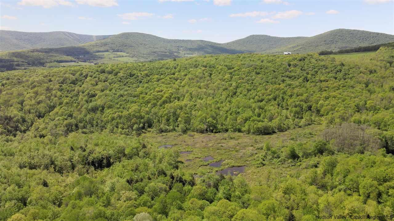 0 Scott Greene Road Roxbury, NY 12474 - Photo 13 of 15 a view of a lush green hillside and a mountain