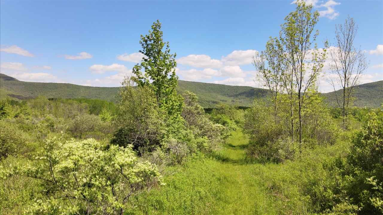 0 Scott Greene Road Roxbury, NY 12474 - Photo 14 of 15 a view of lake with green space