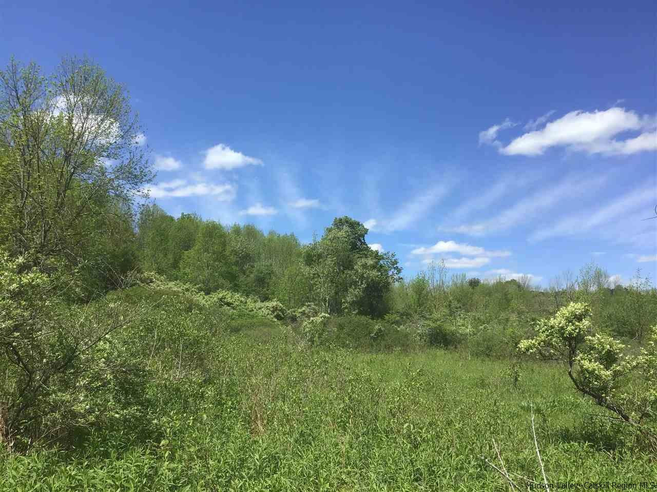 0 Scott Greene Road Roxbury, NY 12474 - Photo 2 of 15 a view of a city and lush green forest