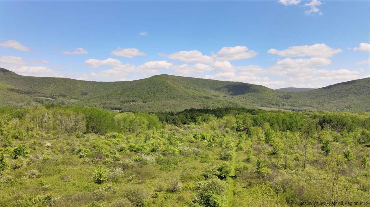 0 Scott Greene Road Roxbury, NY 12474 - Photo 3 of 15 a view of a lake with mountains in the background