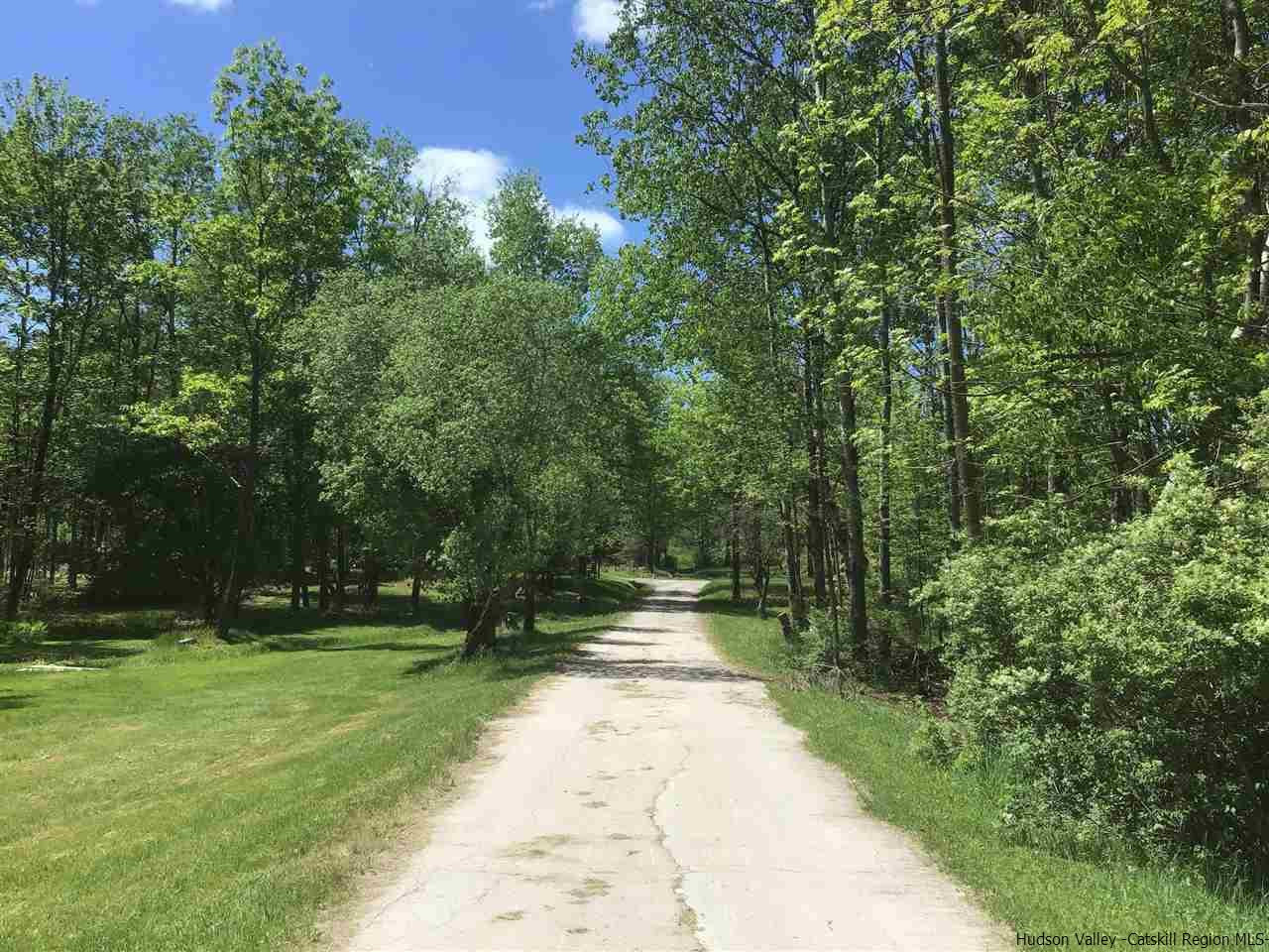 0 Scott Greene Road Roxbury, NY 12474 - Photo 4 of 15 a view of a park with large trees