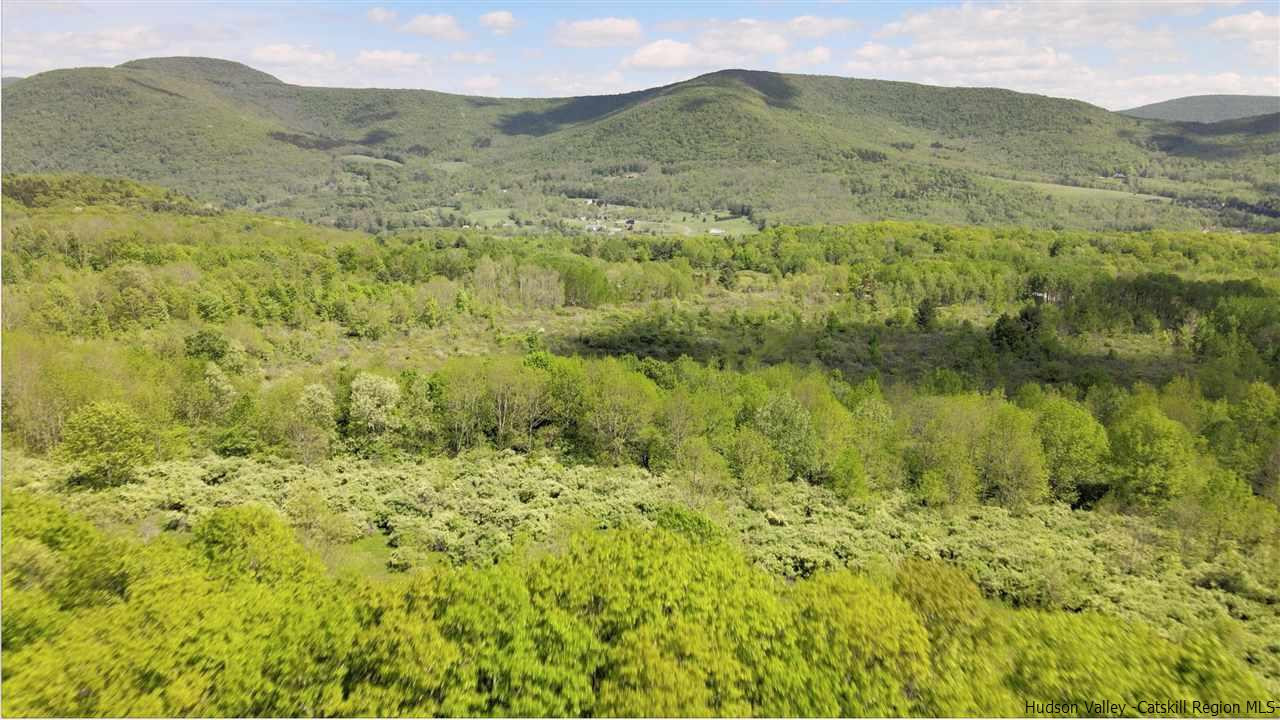 0 Scott Greene Road Roxbury, NY 12474 - Photo 5 of 15 a view of a lush green hillside and a houses