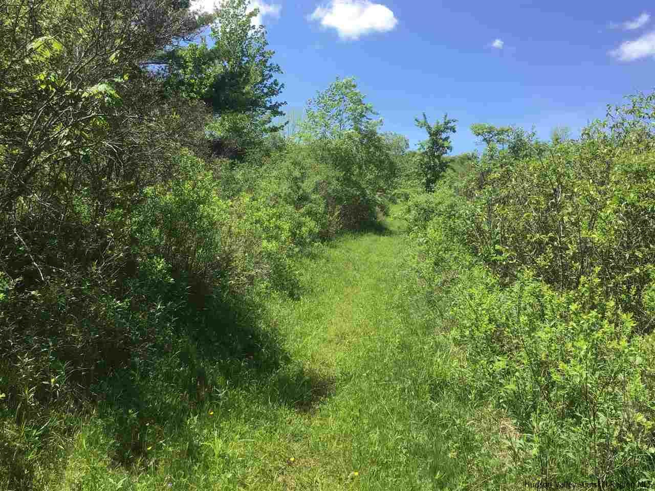 0 Scott Greene Road Roxbury, NY 12474 - Photo 6 of 15 a view of a garden