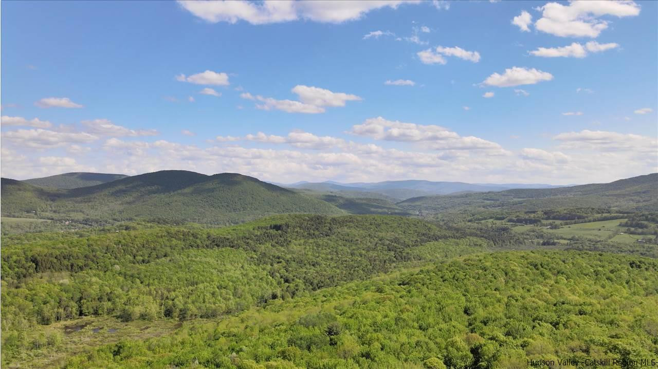 0 Scott Greene Road Roxbury, NY 12474 - Photo 7 of 15 a view of an outdoor space and mountains