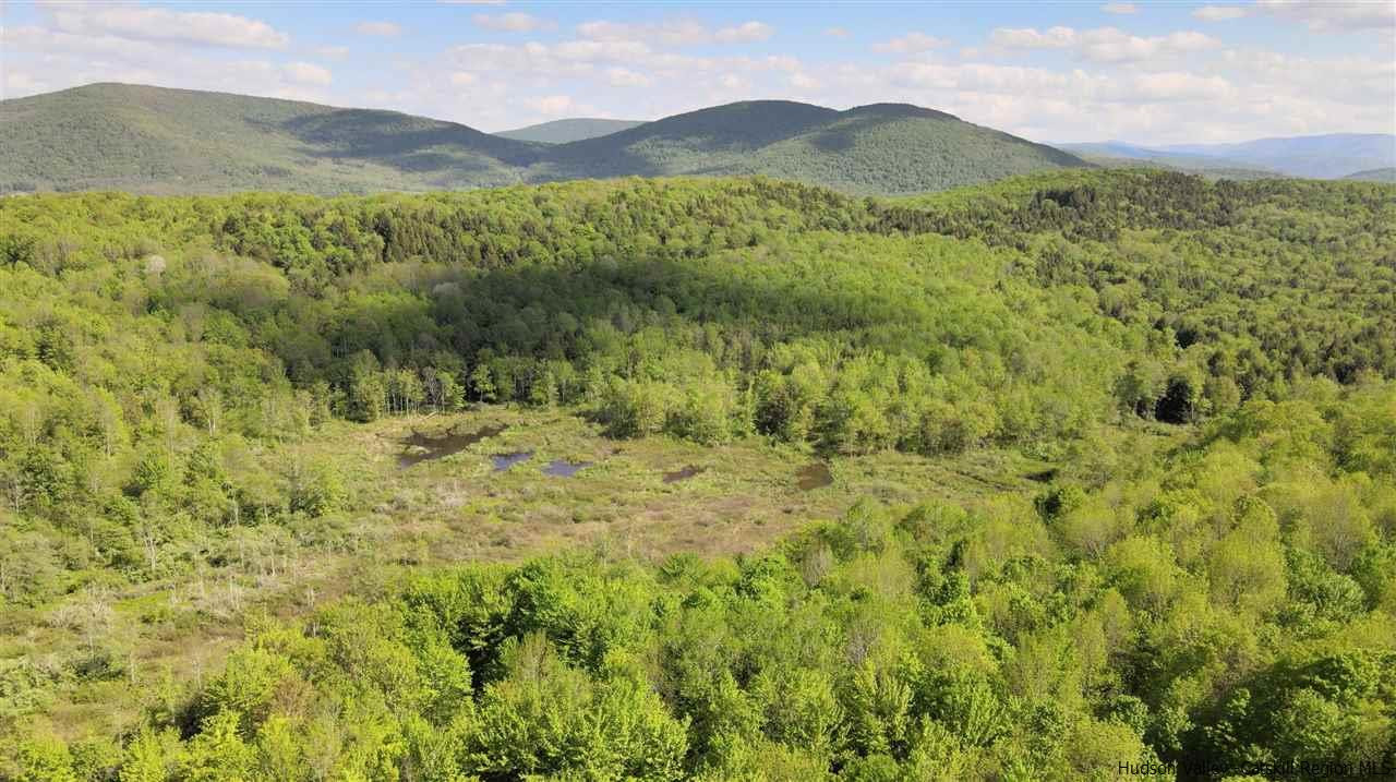 0 Scott Greene Road Roxbury, NY 12474 - Photo 9 of 15 a view of a lush green hillside and a mountain