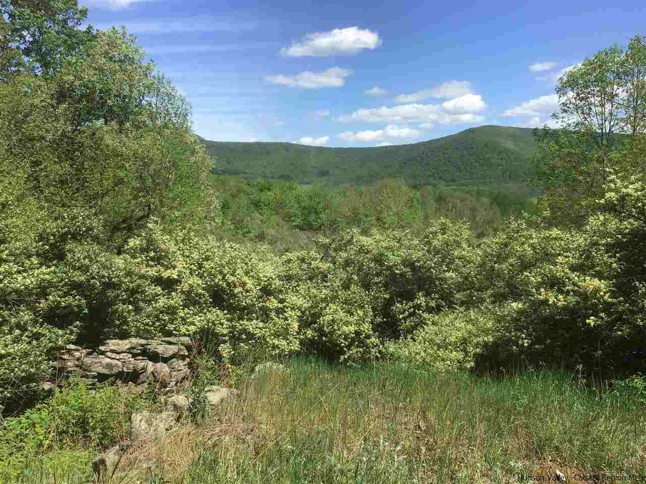 0 Scott Greene Road Roxbury, NY 12474 - Photo 10 of 15 a view of a lake from a yard