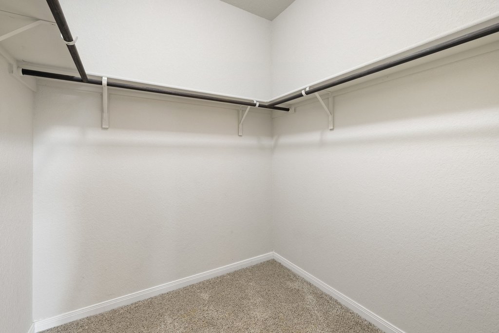 204 Rochester Lane Hutto, TX 78634 - Photo 25 of 40 Walk in closet with light colored carpet