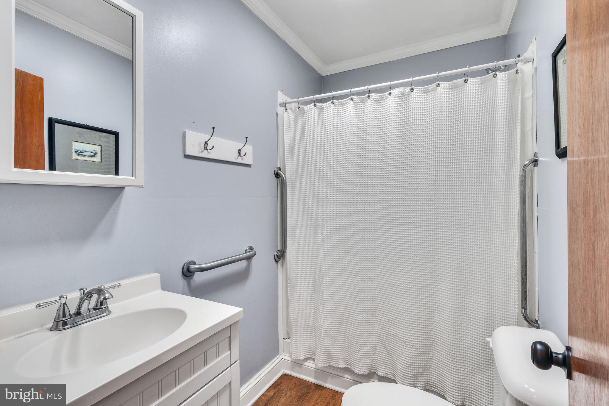 239 Lane Road Reedville, VA 22539 - Photo 31 of 61 a bathroom with a sink a toilet and a mirror