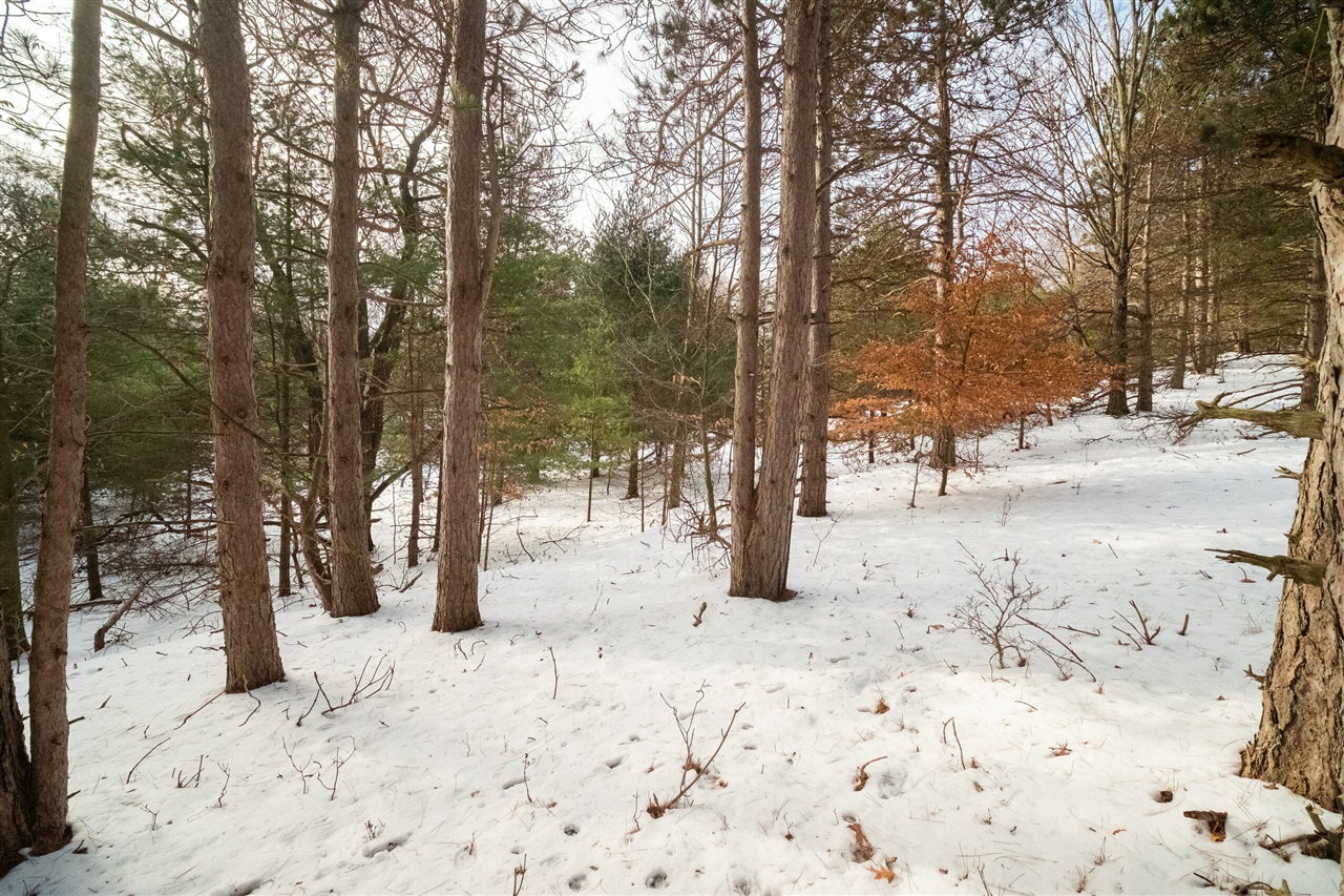 0 Erdman Road Onekama, MI 49675 - Photo 62 of 69 Gallery Image 62