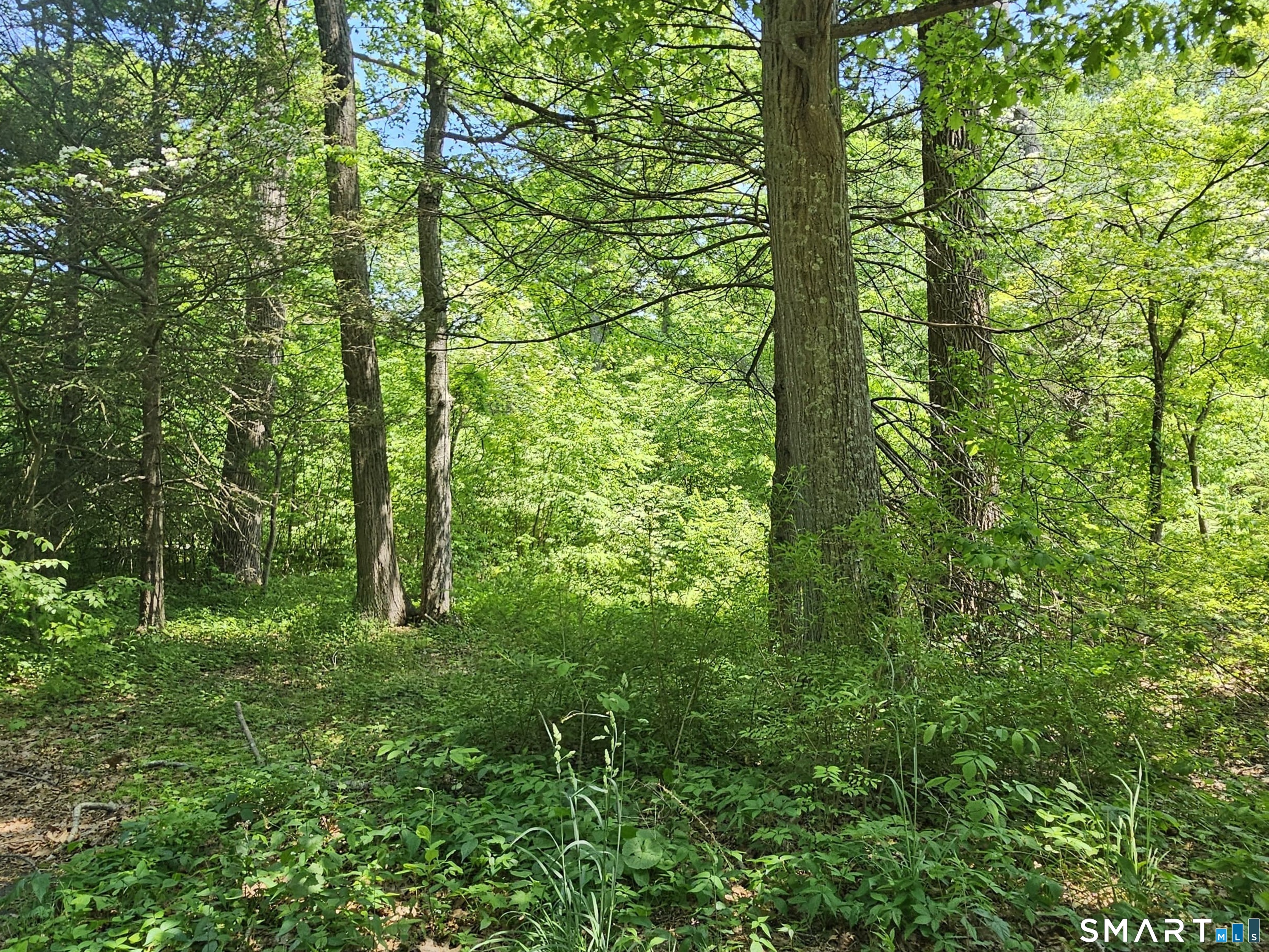 70 Hiram Hill Road Monroe, CT 06468 - Photo 10 of 12 a view of outdoor space and garden