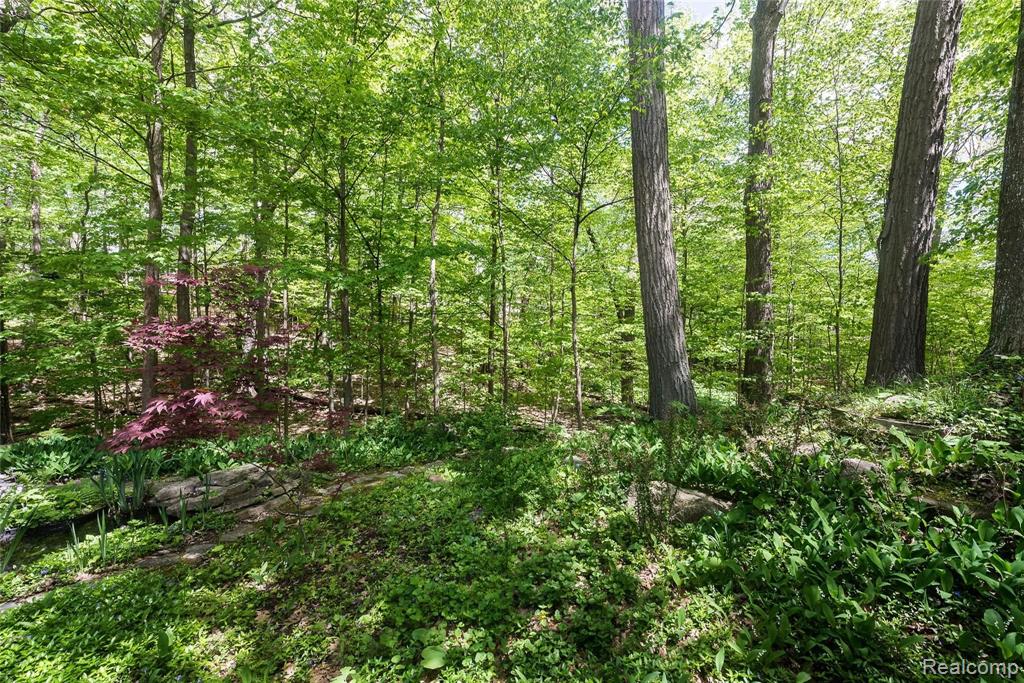 29000 Halsted Road Farmington Hills, MI 48331 - Photo 40 of 48